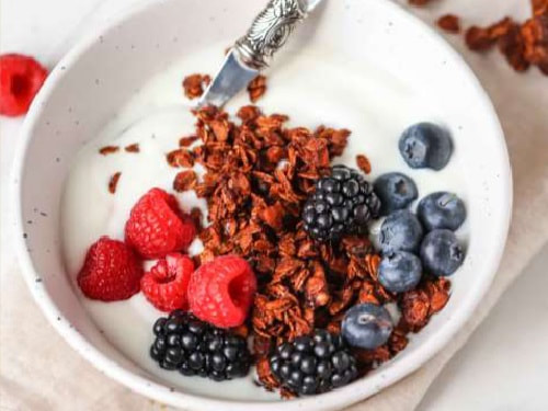 bowl of fruit and yogurt, links to PDF