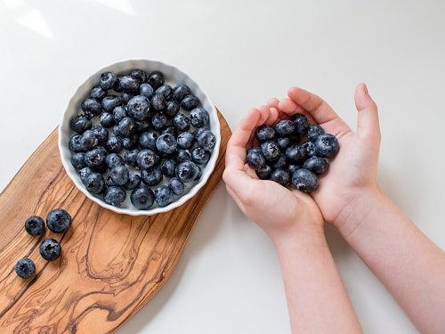 hands holding blueberries, links to PDF